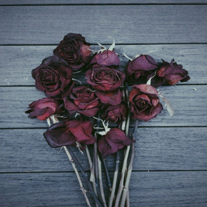Dead Roses - Buy Beats | Instrumentals | Hiphop beats | Trap Beats ...